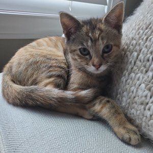 Meet your Posher, Jacqueline